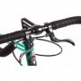 PEGAS CLASIC 2S BULL MAN 58CM VERDE