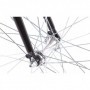PEGAS CLASIC 2S DROP LADY 50CM NEGRU
