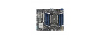 Placi de baza server