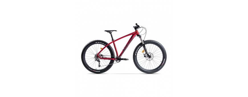 Biciclete mountain bike