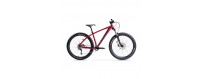 Biciclete mountain bike
