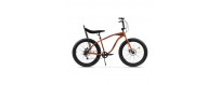 Biciclete fatbike